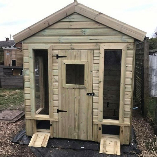 10ft x 6ft Tortoise Pavillion Shed
