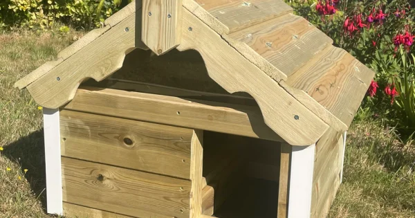 Warren Dig Box