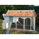 Anastasia Chicken House – 10ft x 5ft – Painted