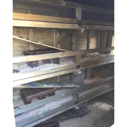 Cavy Guinea Pig Shed