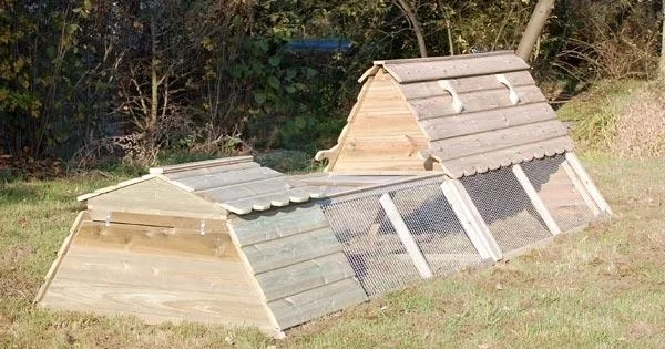 The Banbury Chicken Ark – 6 Hens - With Extension