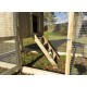 Cherry Court Large Chicken Coop