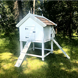Glacier Chicken House with Stand