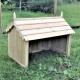 Orchard Chicken Shelter