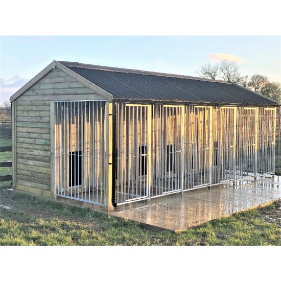 Sherlock 5 Bay Dog Kennel