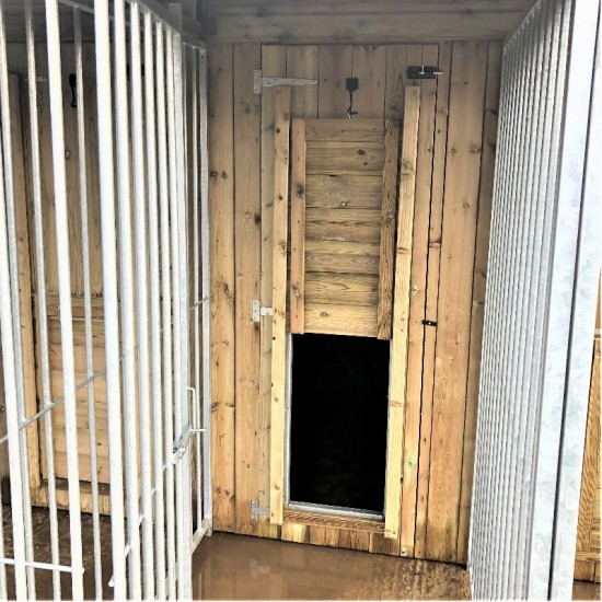 Sherlock 5 Bay Dog Kennel