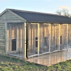 Sherlock 6 Bay Dog Kennel