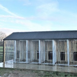 Sherlock 6 Bay Dog Kennel Sherlock 6 Bay Dog Kennel