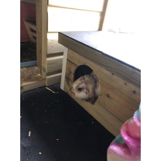 Bunny Hideaway Box
