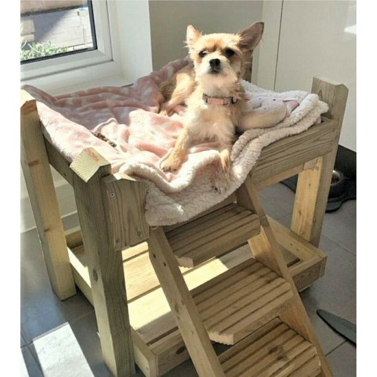 Dog Bunk Bed