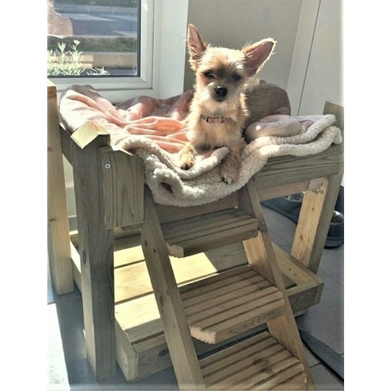 Dog Bunk Bed
