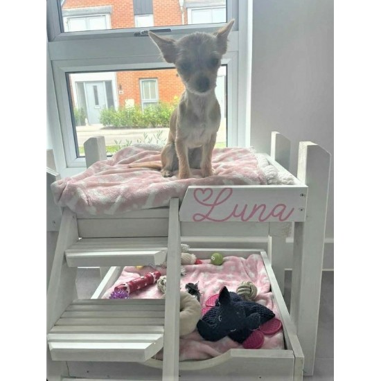 Dog Bunk Bed