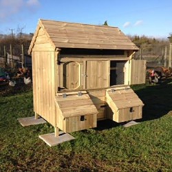 Paddock Fox Proof Chicken House