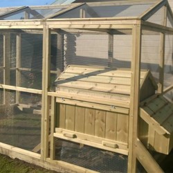Sanctuary Walk in Chicken Run – With Internal House