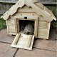Cottage Design Tortoise House